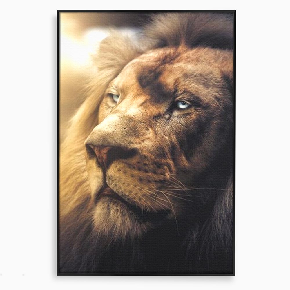 Leinwandbilder Premium, LuxCanva® M1393, Eisblick, Realistisch, Portrait, Gesicht, Dschungel, Geheimnisvoll, Denker, Meditation, Wild, Tier, Löwe, Büro, Wohnen, Kinderzimmer
