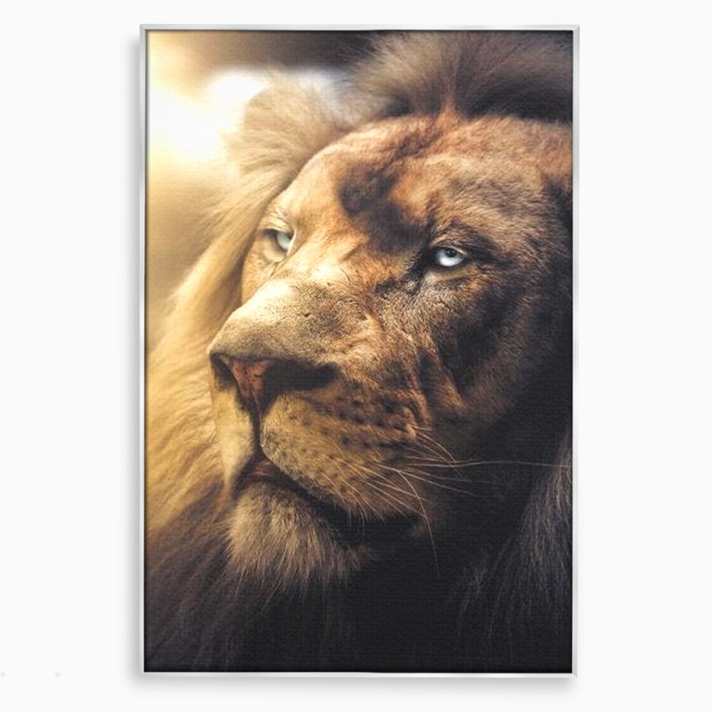 Leinwandbilder Premium, LuxCanva® M1393, Eisblick, Realistisch, Portrait, Gesicht, Dschungel, Geheimnisvoll, Denker, Meditation, Wild, Tier, Löwe, Büro, Wohnen, Kinderzimmer