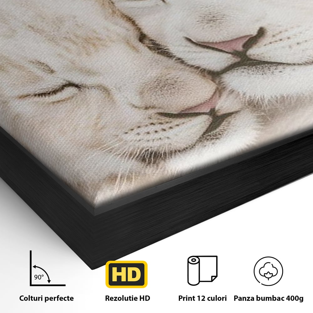 Leinwand Wandkunst Leinwand Wandkunst Premium, LuxCanva® M1395, Sweet Rest, Huhn, Küken, Löwen, Brüder, Schlaf, Unschuld, Reinheit, Reinheit, Umarmung, Traum, flauschig, liebenswert, Büro, Wohnen, Babyzimmer