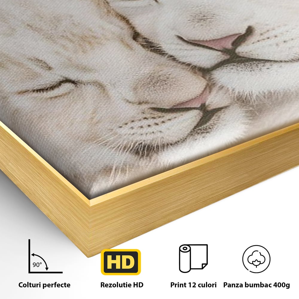 Leinwand Wandkunst Leinwand Wandkunst Premium, LuxCanva® M1395, Sweet Rest, Huhn, Küken, Löwen, Brüder, Schlaf, Unschuld, Reinheit, Reinheit, Umarmung, Traum, flauschig, liebenswert, Büro, Wohnen, Babyzimmer
