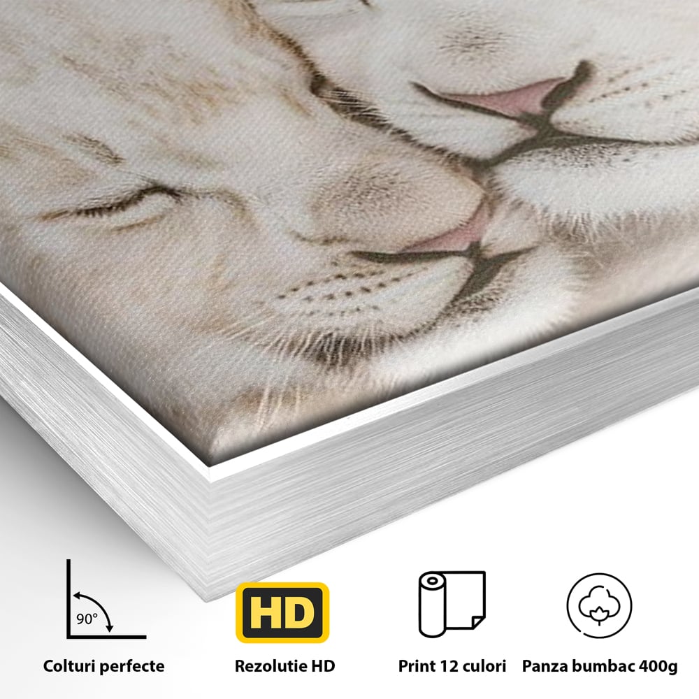 Leinwand Wandkunst Leinwand Wandkunst Premium, LuxCanva® M1395, Sweet Rest, Huhn, Küken, Löwen, Brüder, Schlaf, Unschuld, Reinheit, Reinheit, Umarmung, Traum, flauschig, liebenswert, Büro, Wohnen, Babyzimmer