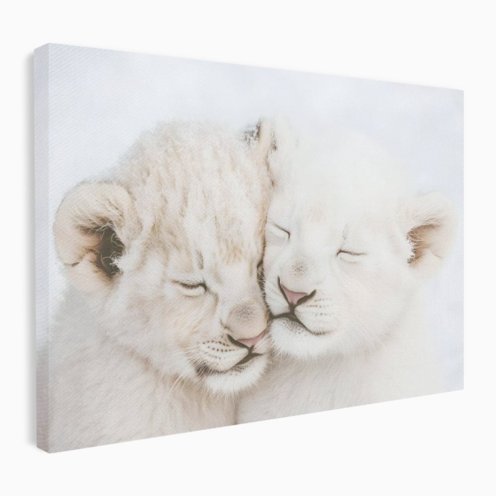 Leinwand Wandkunst Leinwand Wandkunst Premium, LuxCanva® M1395, Sweet Rest, Huhn, Küken, Löwen, Brüder, Schlaf, Unschuld, Reinheit, Reinheit, Umarmung, Traum, flauschig, liebenswert, Büro, Wohnen, Babyzimmer
