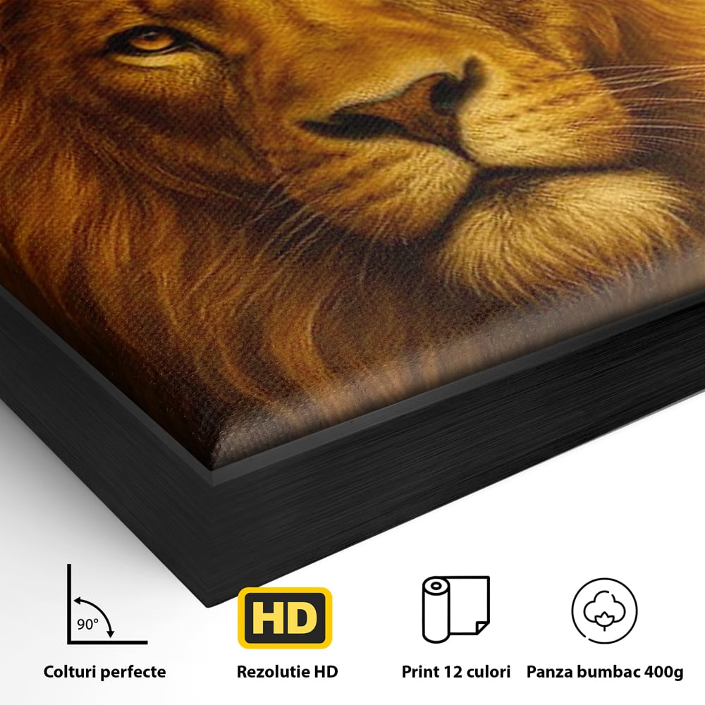 Leinwandbilder Premium, LuxCanva® M1397, Herrlichkeit des Feuers, Licht, strahlend, königlich, Tier, wild, majestätisch, edel, nobel, Löwe, Portrait, abstrakt, Büro, Wohnen, Kinderzimmer