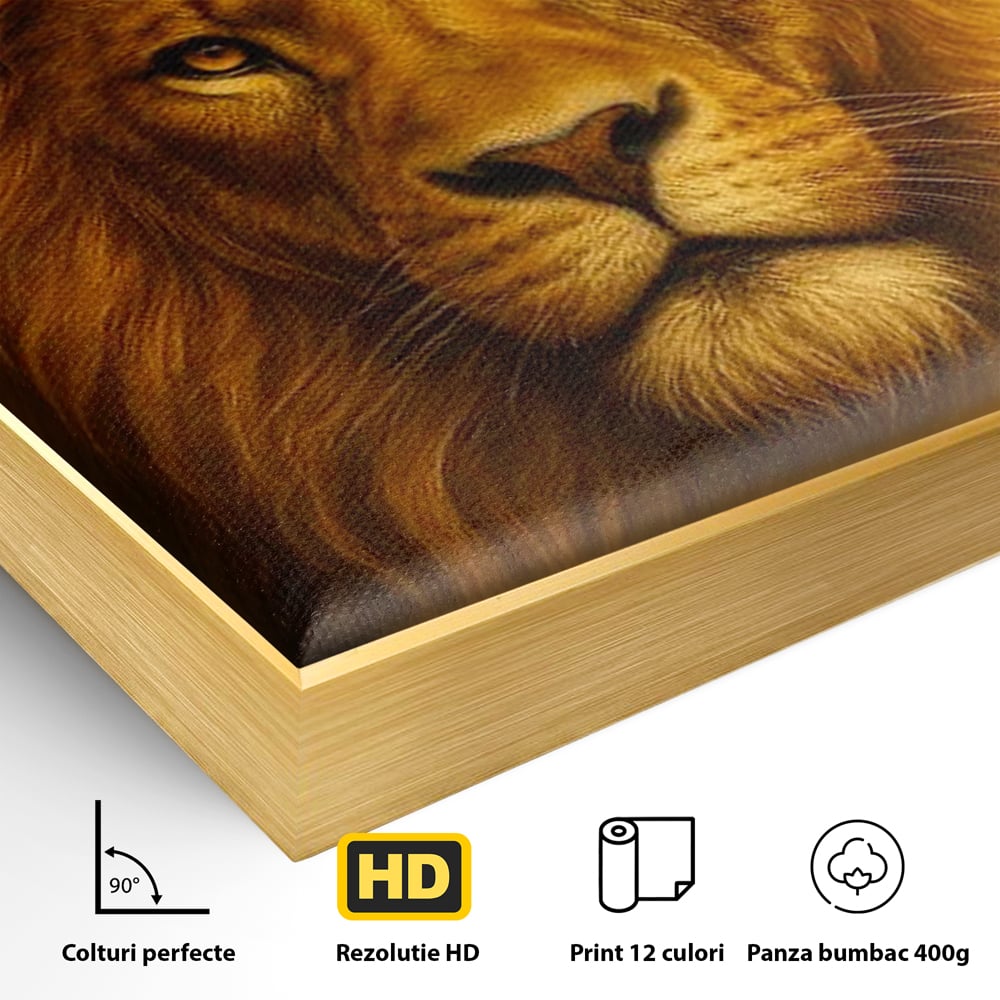 Leinwandbilder Premium, LuxCanva® M1397, Herrlichkeit des Feuers, Licht, strahlend, königlich, Tier, wild, majestätisch, edel, nobel, Löwe, Portrait, abstrakt, Büro, Wohnen, Kinderzimmer