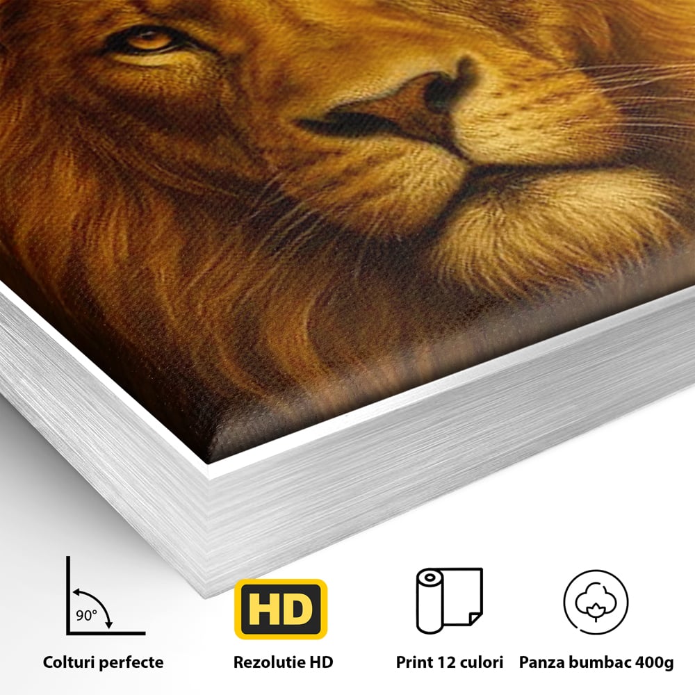Leinwandbilder Premium, LuxCanva® M1397, Herrlichkeit des Feuers, Licht, strahlend, königlich, Tier, wild, majestätisch, edel, nobel, Löwe, Portrait, abstrakt, Büro, Wohnen, Kinderzimmer
