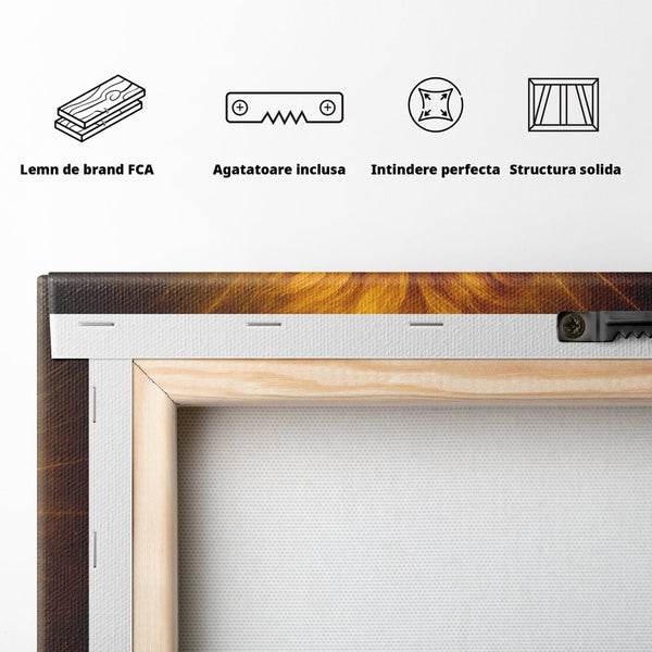 Leinwandbilder Premium, LuxCanva® M1397, Herrlichkeit des Feuers, Licht, strahlend, königlich, Tier, wild, majestätisch, edel, nobel, Löwe, Portrait, abstrakt, Büro, Wohnen, Kinderzimmer