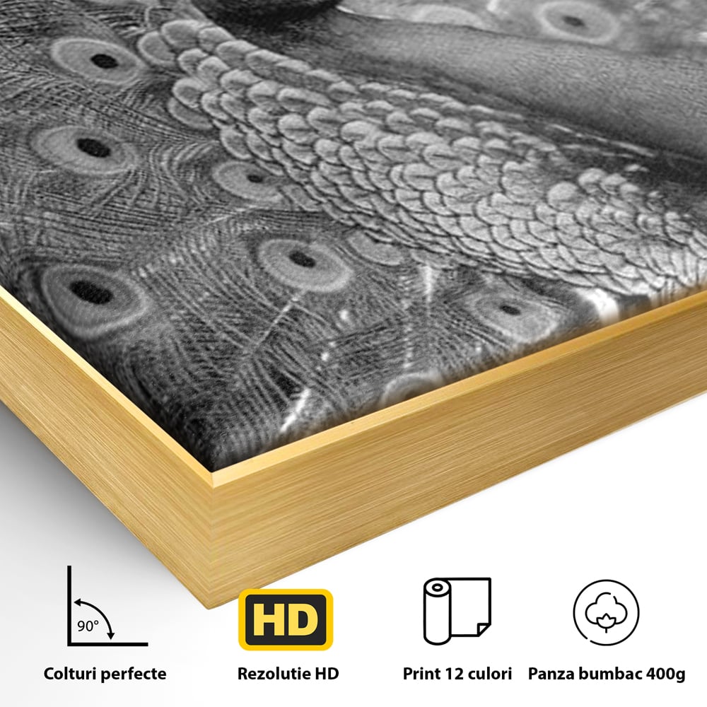Tablou Canvas Premium, LuxCanva® M1408, Paunul de Argint, Alb si Negru, Pasare, Eleganta, Gratios, Sublim, Paun, Pene, Exotic, Minimalist, Birou, Living, Camera Copil