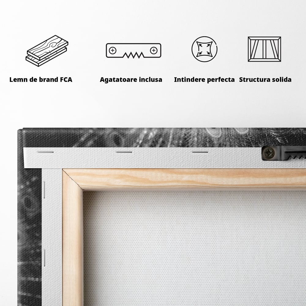 Tablou Canvas Premium, LuxCanva® M1408, Paunul de Argint, Alb si Negru, Pasare, Eleganta, Gratios, Sublim, Paun, Pene, Exotic, Minimalist, Birou, Living, Camera Copil