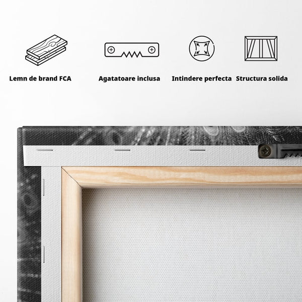 Tablou Canvas Premium, LuxCanva® M1408, Paunul de Argint, Alb si Negru, Pasare, Eleganta, Gratios, Sublim, Paun, Pene, Exotic, Minimalist, Birou, Living, Camera Copil