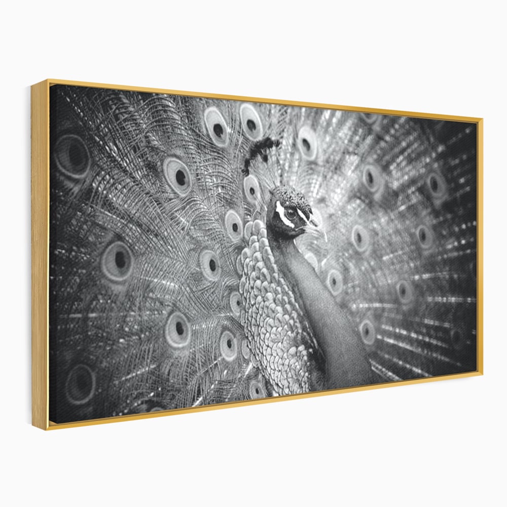 Tablou Canvas Premium, LuxCanva® M1408, Paunul de Argint, Alb si Negru, Pasare, Eleganta, Gratios, Sublim, Paun, Pene, Exotic, Minimalist, Birou, Living, Camera Copil