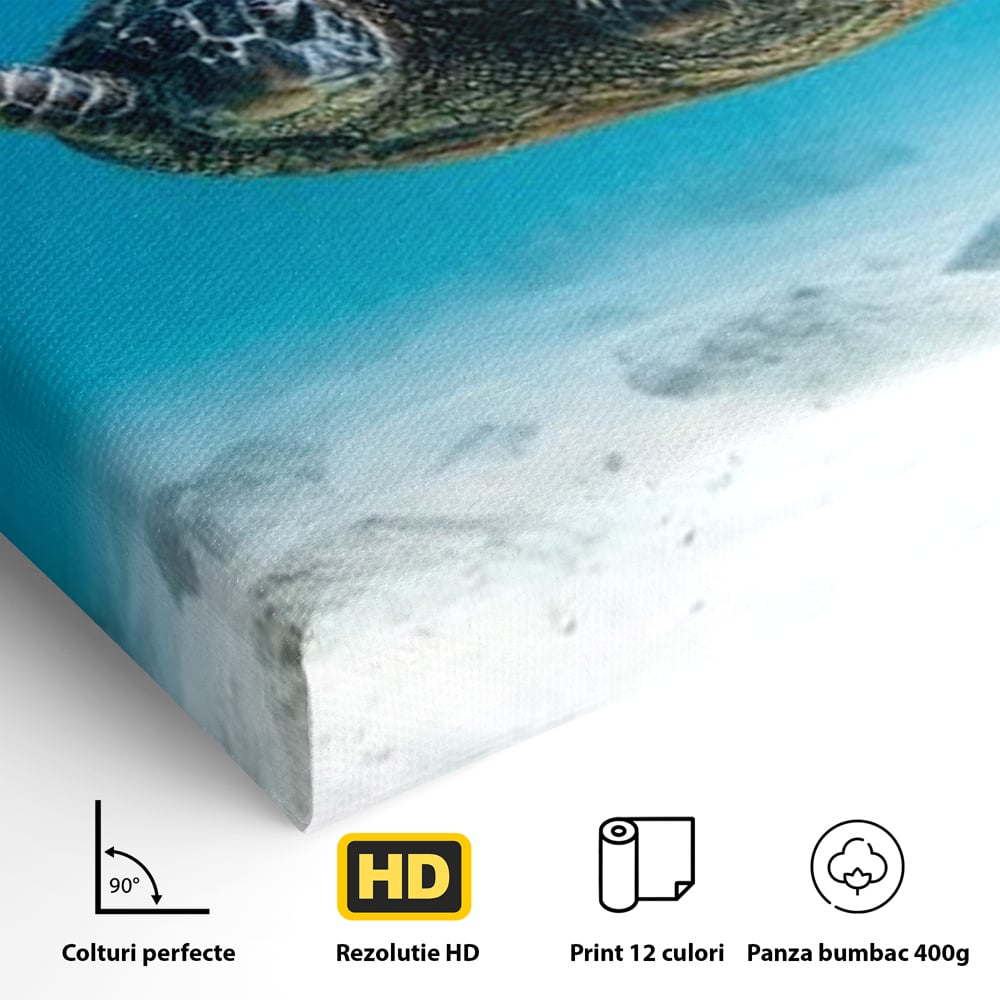 Leinwand Wandkunst Canvas Premium, LuxCanva® M1416, Unendlichkeit schwimmend, Schildkröte, Ozean, Sand, Freiheit, Gleichgewicht, Wasser, aquatisch, Frieden, Leben, Energie, Büro, Wohnen, Kinderzimmer