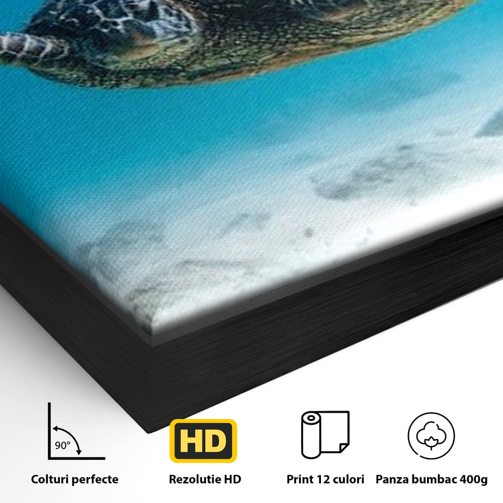 Leinwand Wandkunst Canvas Premium, LuxCanva® M1416, Unendlichkeit schwimmend, Schildkröte, Ozean, Sand, Freiheit, Gleichgewicht, Wasser, aquatisch, Frieden, Leben, Energie, Büro, Wohnen, Kinderzimmer