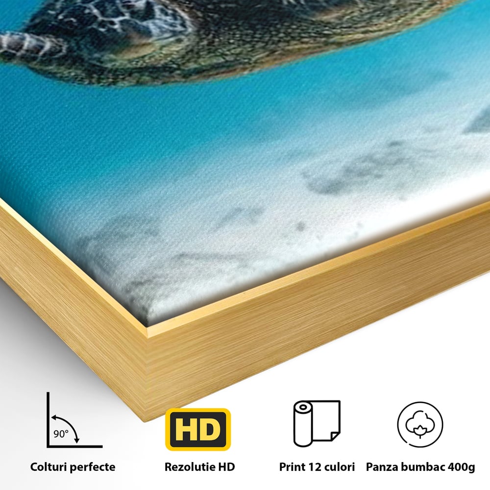 Leinwand Wandkunst Canvas Premium, LuxCanva® M1416, Unendlichkeit schwimmend, Schildkröte, Ozean, Sand, Freiheit, Gleichgewicht, Wasser, aquatisch, Frieden, Leben, Energie, Büro, Wohnen, Kinderzimmer