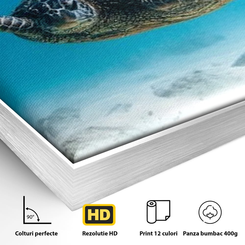 Leinwand Wandkunst Canvas Premium, LuxCanva® M1416, Unendlichkeit schwimmend, Schildkröte, Ozean, Sand, Freiheit, Gleichgewicht, Wasser, aquatisch, Frieden, Leben, Energie, Büro, Wohnen, Kinderzimmer