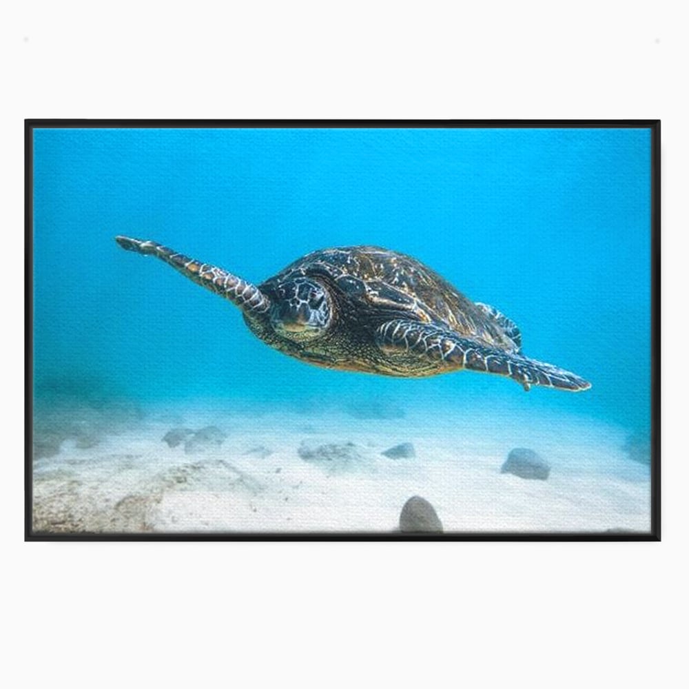Leinwand Wandkunst Canvas Premium, LuxCanva® M1416, Unendlichkeit schwimmend, Schildkröte, Ozean, Sand, Freiheit, Gleichgewicht, Wasser, aquatisch, Frieden, Leben, Energie, Büro, Wohnen, Kinderzimmer