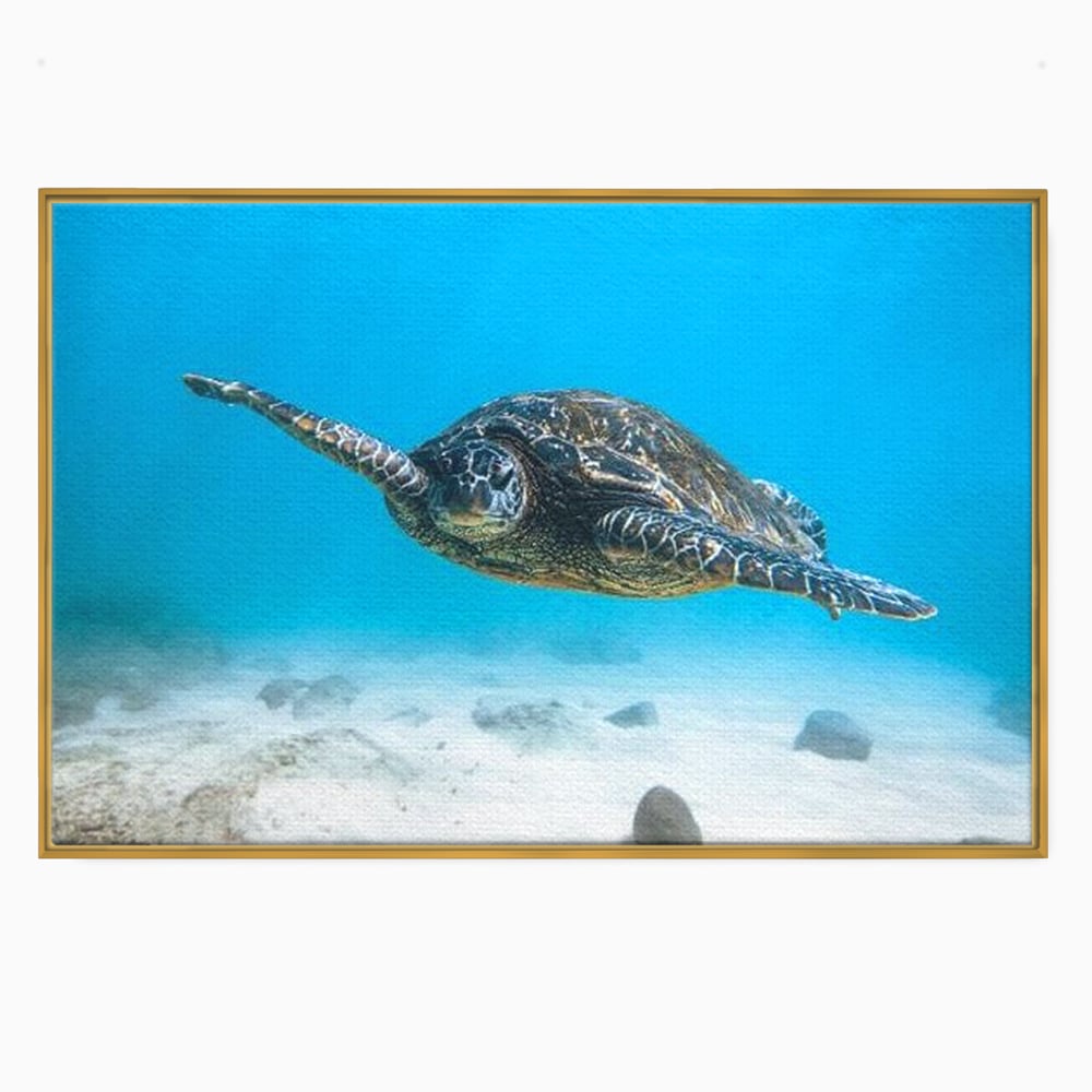 Leinwand Wandkunst Canvas Premium, LuxCanva® M1416, Unendlichkeit schwimmend, Schildkröte, Ozean, Sand, Freiheit, Gleichgewicht, Wasser, aquatisch, Frieden, Leben, Energie, Büro, Wohnen, Kinderzimmer