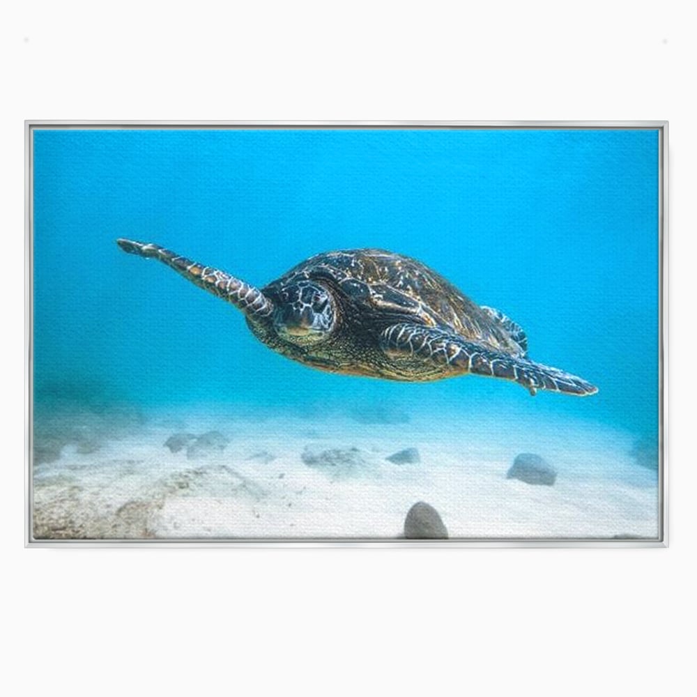 Leinwand Wandkunst Canvas Premium, LuxCanva® M1416, Unendlichkeit schwimmend, Schildkröte, Ozean, Sand, Freiheit, Gleichgewicht, Wasser, aquatisch, Frieden, Leben, Energie, Büro, Wohnen, Kinderzimmer
