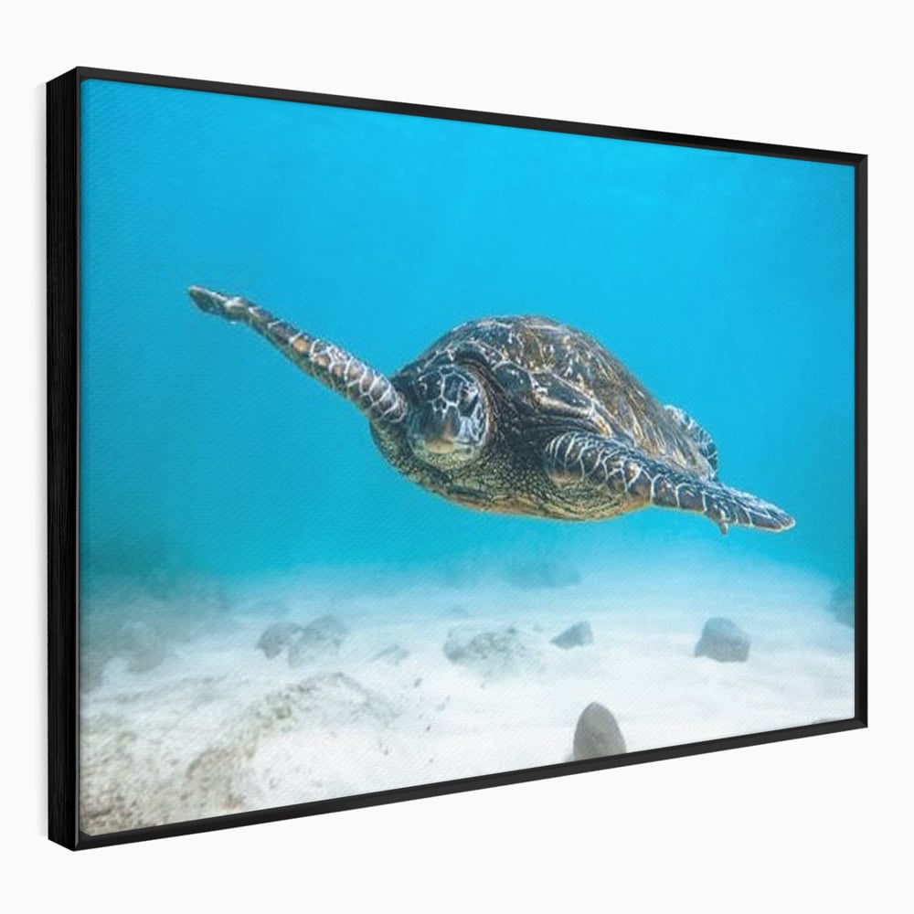 Leinwand Wandkunst Canvas Premium, LuxCanva® M1416, Unendlichkeit schwimmend, Schildkröte, Ozean, Sand, Freiheit, Gleichgewicht, Wasser, aquatisch, Frieden, Leben, Energie, Büro, Wohnen, Kinderzimmer
