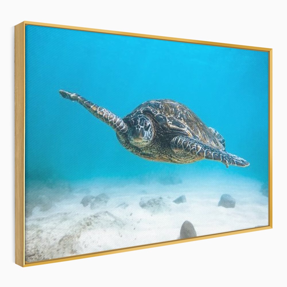 Leinwand Wandkunst Canvas Premium, LuxCanva® M1416, Unendlichkeit schwimmend, Schildkröte, Ozean, Sand, Freiheit, Gleichgewicht, Wasser, aquatisch, Frieden, Leben, Energie, Büro, Wohnen, Kinderzimmer