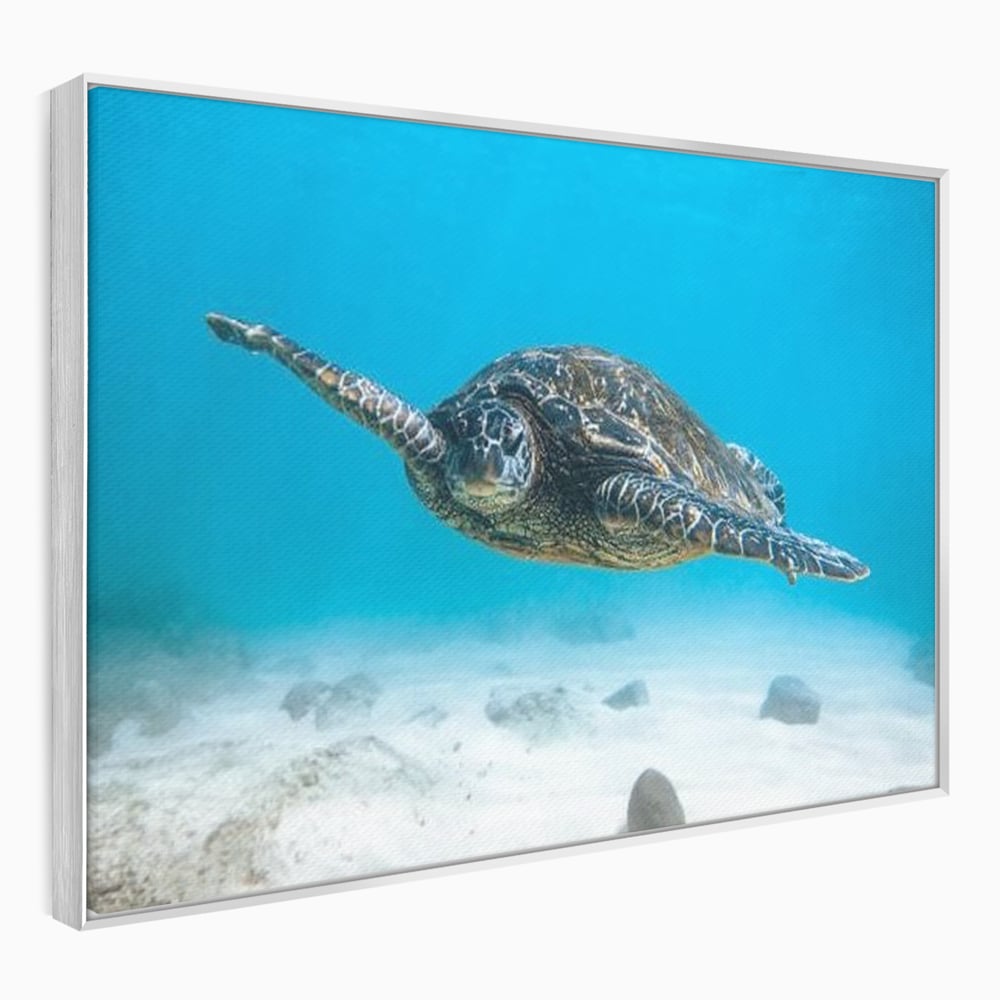 Leinwand Wandkunst Canvas Premium, LuxCanva® M1416, Unendlichkeit schwimmend, Schildkröte, Ozean, Sand, Freiheit, Gleichgewicht, Wasser, aquatisch, Frieden, Leben, Energie, Büro, Wohnen, Kinderzimmer