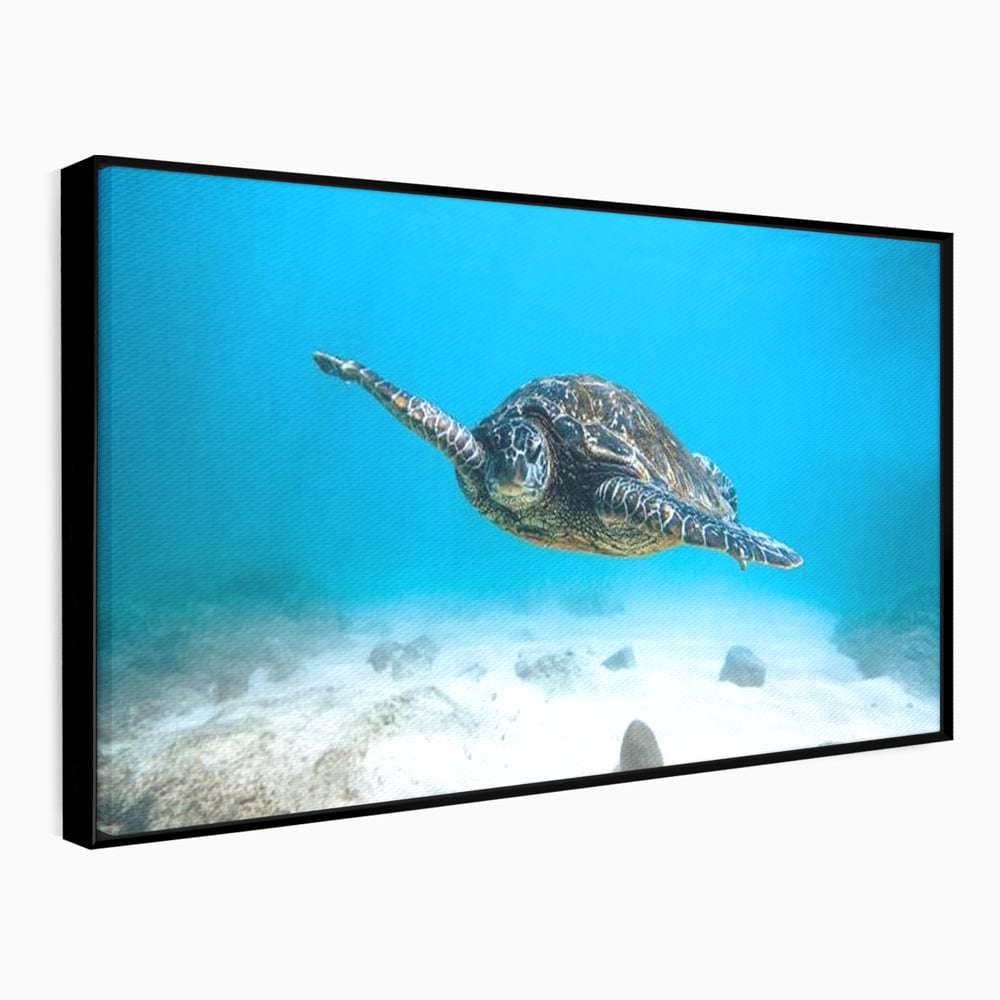 Leinwand Wandkunst Canvas Premium, LuxCanva® M1416, Unendlichkeit schwimmend, Schildkröte, Ozean, Sand, Freiheit, Gleichgewicht, Wasser, aquatisch, Frieden, Leben, Energie, Büro, Wohnen, Kinderzimmer