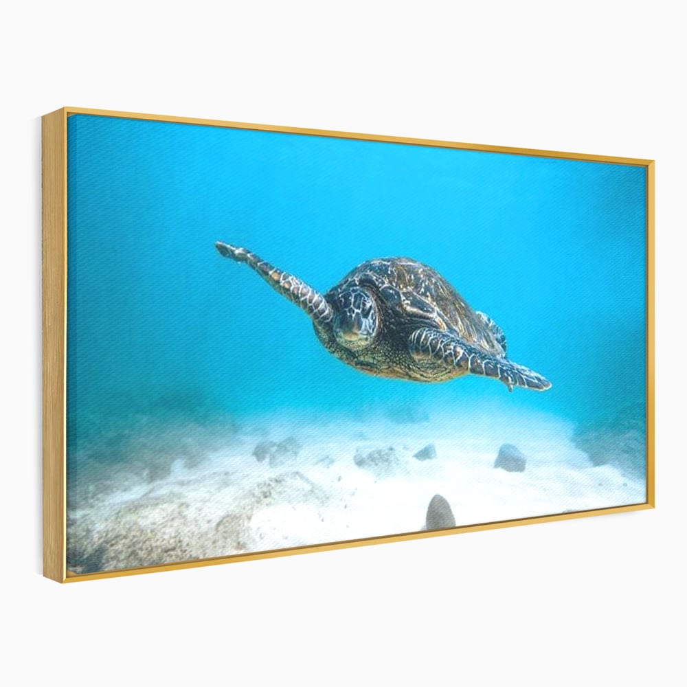 Leinwand Wandkunst Canvas Premium, LuxCanva® M1416, Unendlichkeit schwimmend, Schildkröte, Ozean, Sand, Freiheit, Gleichgewicht, Wasser, aquatisch, Frieden, Leben, Energie, Büro, Wohnen, Kinderzimmer