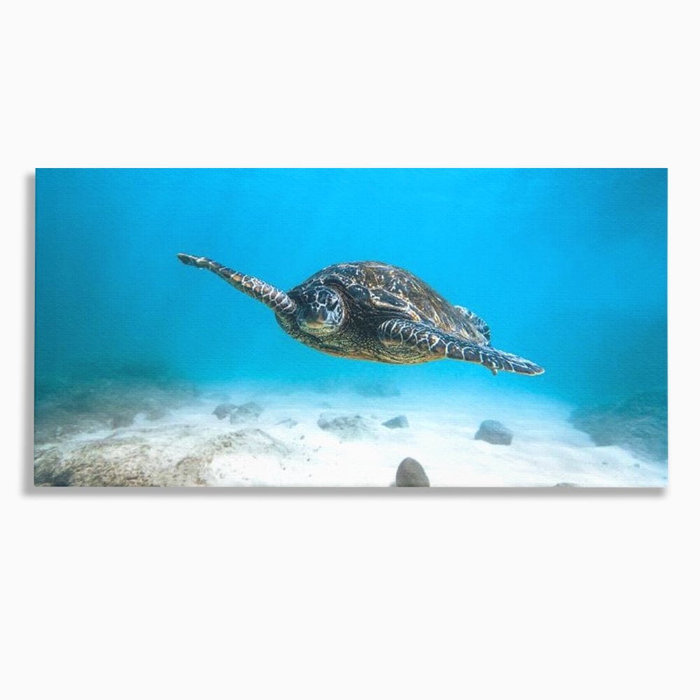 Leinwand Wandkunst Canvas Premium, LuxCanva® M1416, Unendlichkeit schwimmend, Schildkröte, Ozean, Sand, Freiheit, Gleichgewicht, Wasser, aquatisch, Frieden, Leben, Energie, Büro, Wohnen, Kinderzimmer