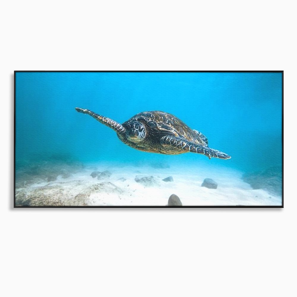 Leinwand Wandkunst Canvas Premium, LuxCanva® M1416, Unendlichkeit schwimmend, Schildkröte, Ozean, Sand, Freiheit, Gleichgewicht, Wasser, aquatisch, Frieden, Leben, Energie, Büro, Wohnen, Kinderzimmer