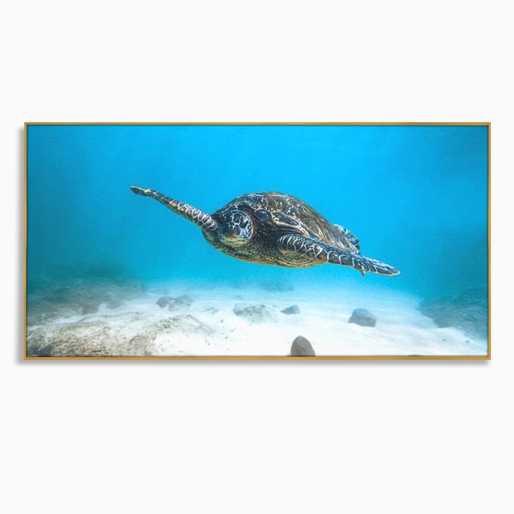 Leinwand Wandkunst Canvas Premium, LuxCanva® M1416, Unendlichkeit schwimmend, Schildkröte, Ozean, Sand, Freiheit, Gleichgewicht, Wasser, aquatisch, Frieden, Leben, Energie, Büro, Wohnen, Kinderzimmer