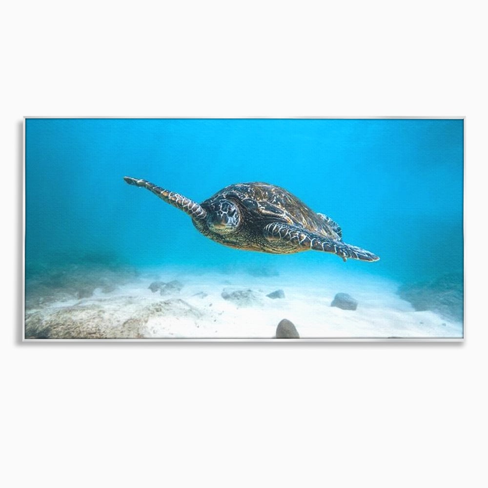 Leinwand Wandkunst Canvas Premium, LuxCanva® M1416, Unendlichkeit schwimmend, Schildkröte, Ozean, Sand, Freiheit, Gleichgewicht, Wasser, aquatisch, Frieden, Leben, Energie, Büro, Wohnen, Kinderzimmer