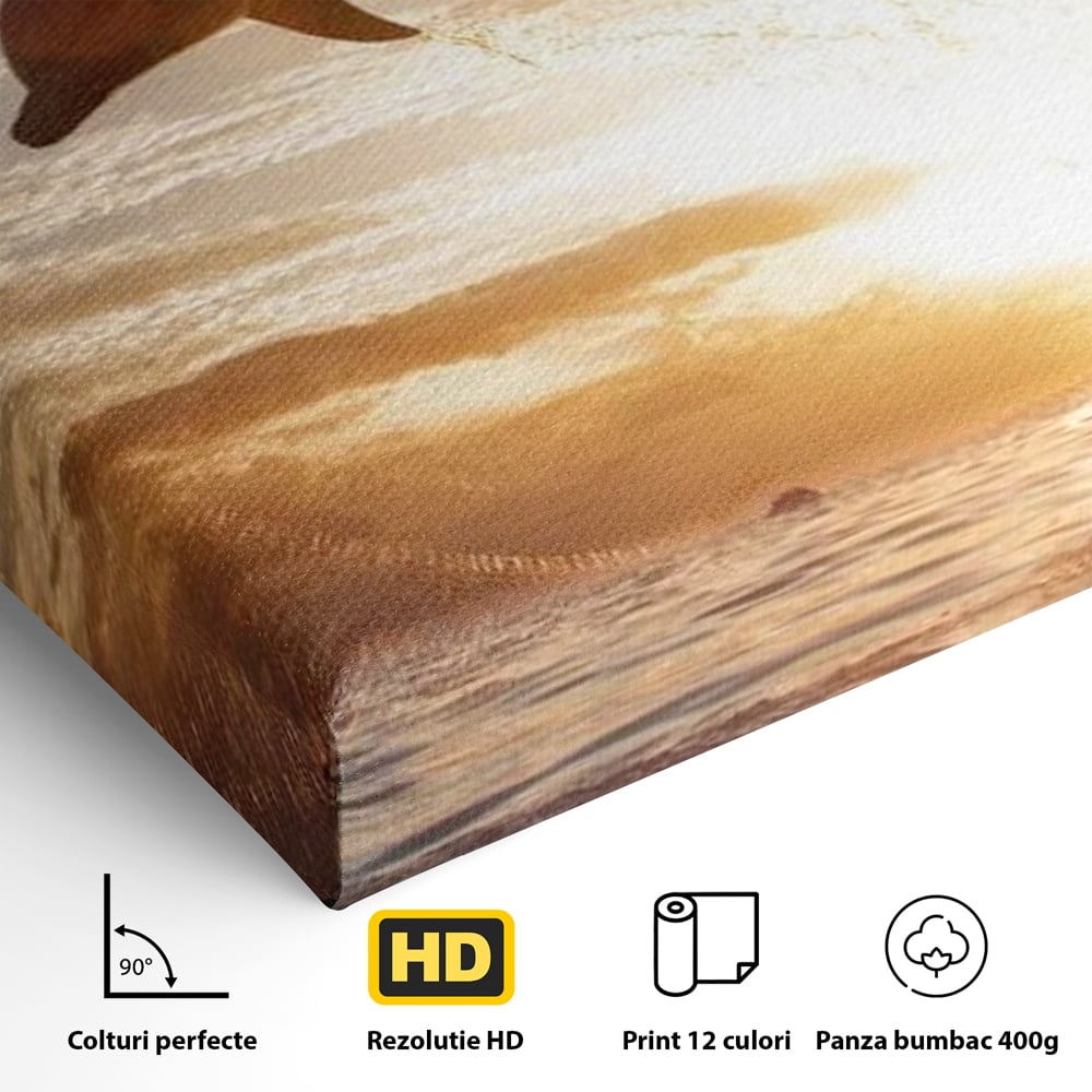 Tablou Canvas Premium, LuxCanva® M1417, Sarutul Soarelui, Delfin, Salt, Valuri, Apa, Ocean, Apus, Energie, Viata, Joaca, Libertate, Mamifer, Birou, Living, Camera Copil