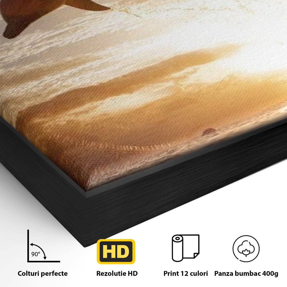 Tablou Canvas Premium, LuxCanva® M1417, Sarutul Soarelui, Delfin, Salt, Valuri, Apa, Ocean, Apus, Energie, Viata, Joaca, Libertate, Mamifer, Birou, Living, Camera Copil