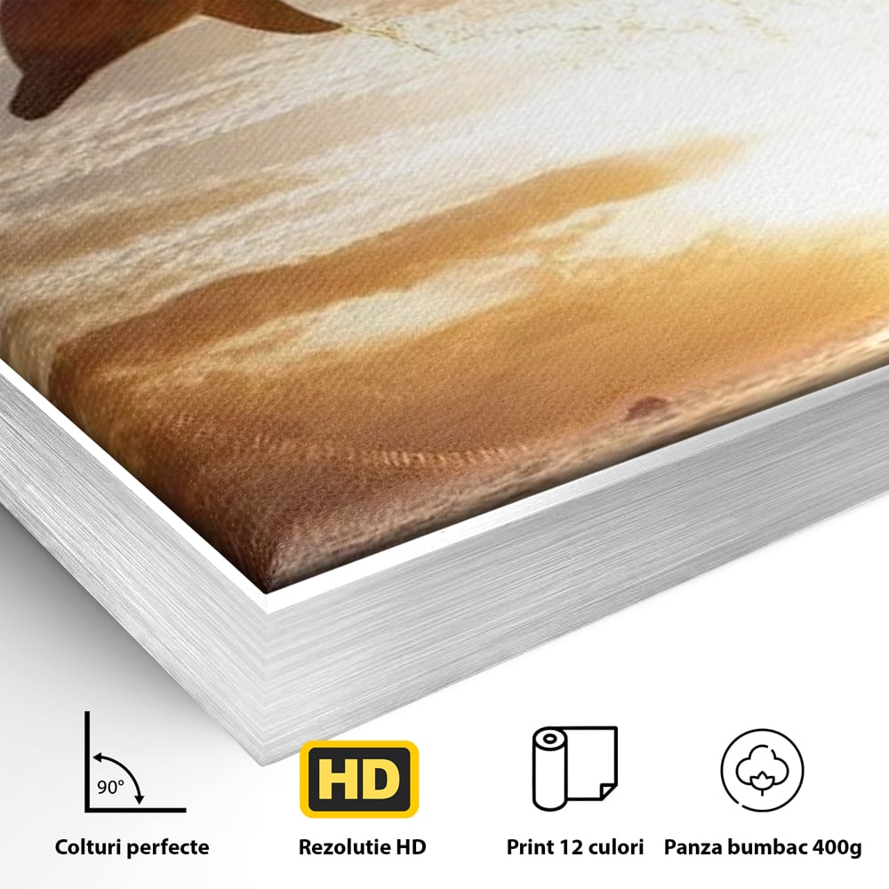 Tablou Canvas Premium, LuxCanva® M1417, Sarutul Soarelui, Delfin, Salt, Valuri, Apa, Ocean, Apus, Energie, Viata, Joaca, Libertate, Mamifer, Birou, Living, Camera Copil