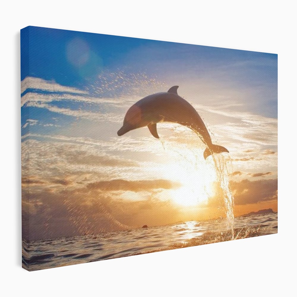 Tablou Canvas Premium, LuxCanva® M1417, Sarutul Soarelui, Delfin, Salt, Valuri, Apa, Ocean, Apus, Energie, Viata, Joaca, Libertate, Mamifer, Birou, Living, Camera Copil