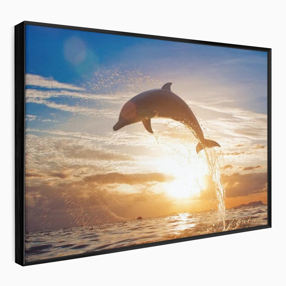 Tablou Canvas Premium, LuxCanva® M1417, Sarutul Soarelui, Delfin, Salt, Valuri, Apa, Ocean, Apus, Energie, Viata, Joaca, Libertate, Mamifer, Birou, Living, Camera Copil