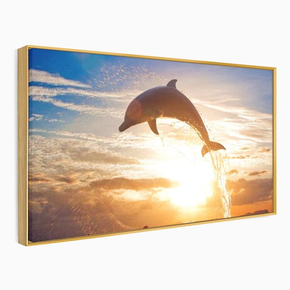 Tablou Canvas Premium, LuxCanva® M1417, Sarutul Soarelui, Delfin, Salt, Valuri, Apa, Ocean, Apus, Energie, Viata, Joaca, Libertate, Mamifer, Birou, Living, Camera Copil
