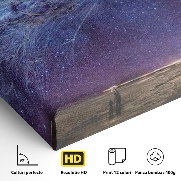 Tablou Canvas Premium, LuxCanva® M1422, Meduza Cosmica, Stele, Galaxie, Univers, Meduza, Copii, Spirit, Stralucitor, Plutire, Magie, Birou, Living, Camera Copil