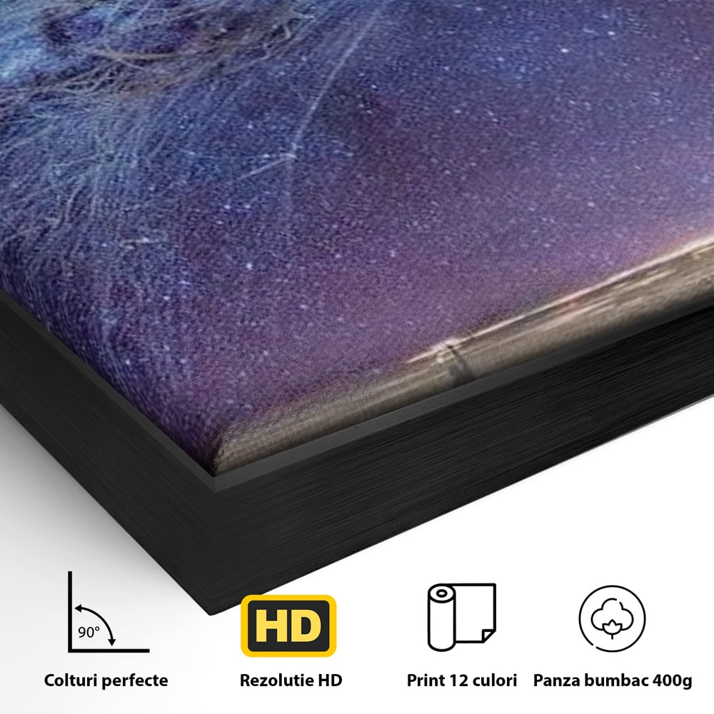 Tablou Canvas Premium, LuxCanva® M1422, Meduza Cosmica, Stele, Galaxie, Univers, Meduza, Copii, Spirit, Stralucitor, Plutire, Magie, Birou, Living, Camera Copil