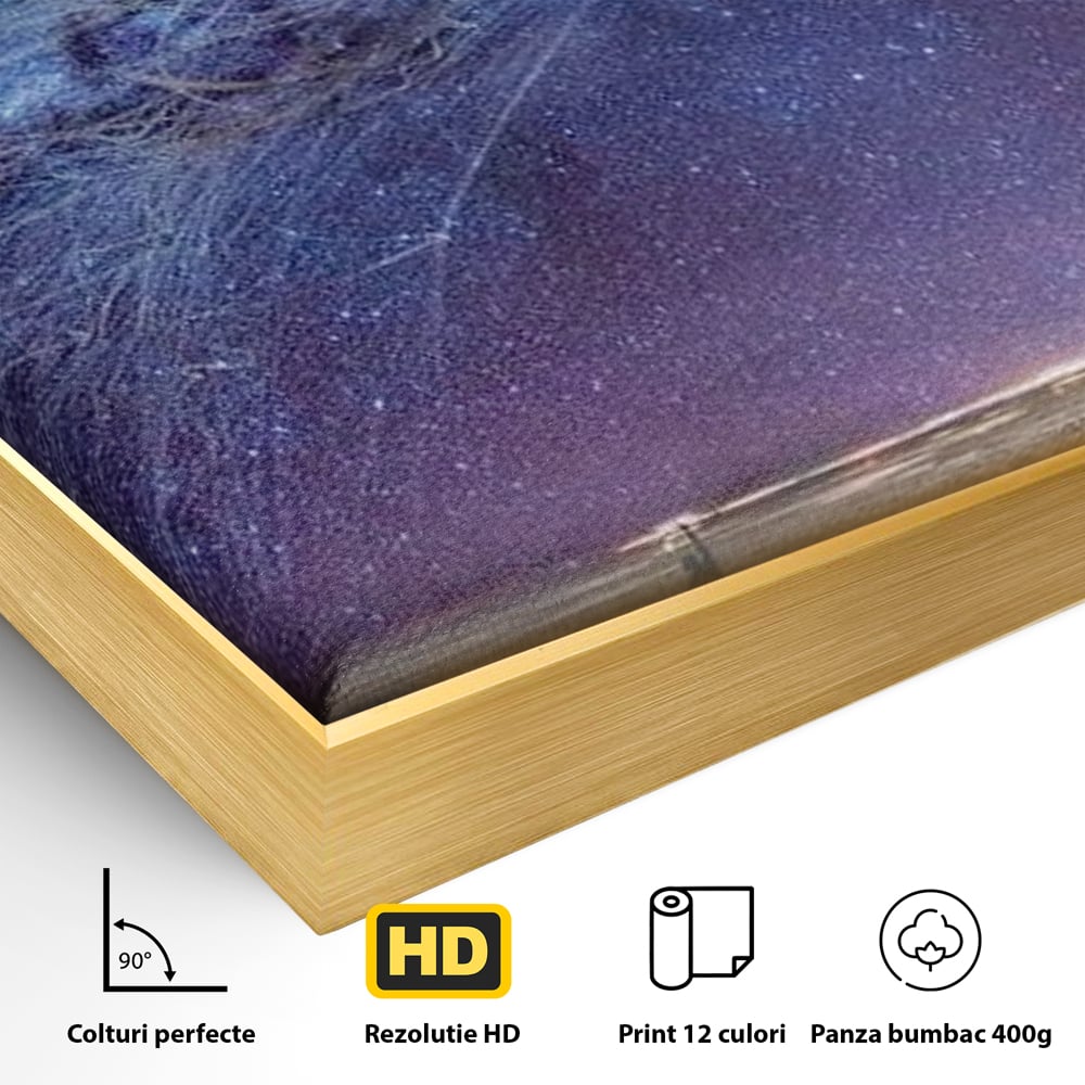 Tablou Canvas Premium, LuxCanva® M1422, Meduza Cosmica, Stele, Galaxie, Univers, Meduza, Copii, Spirit, Stralucitor, Plutire, Magie, Birou, Living, Camera Copil