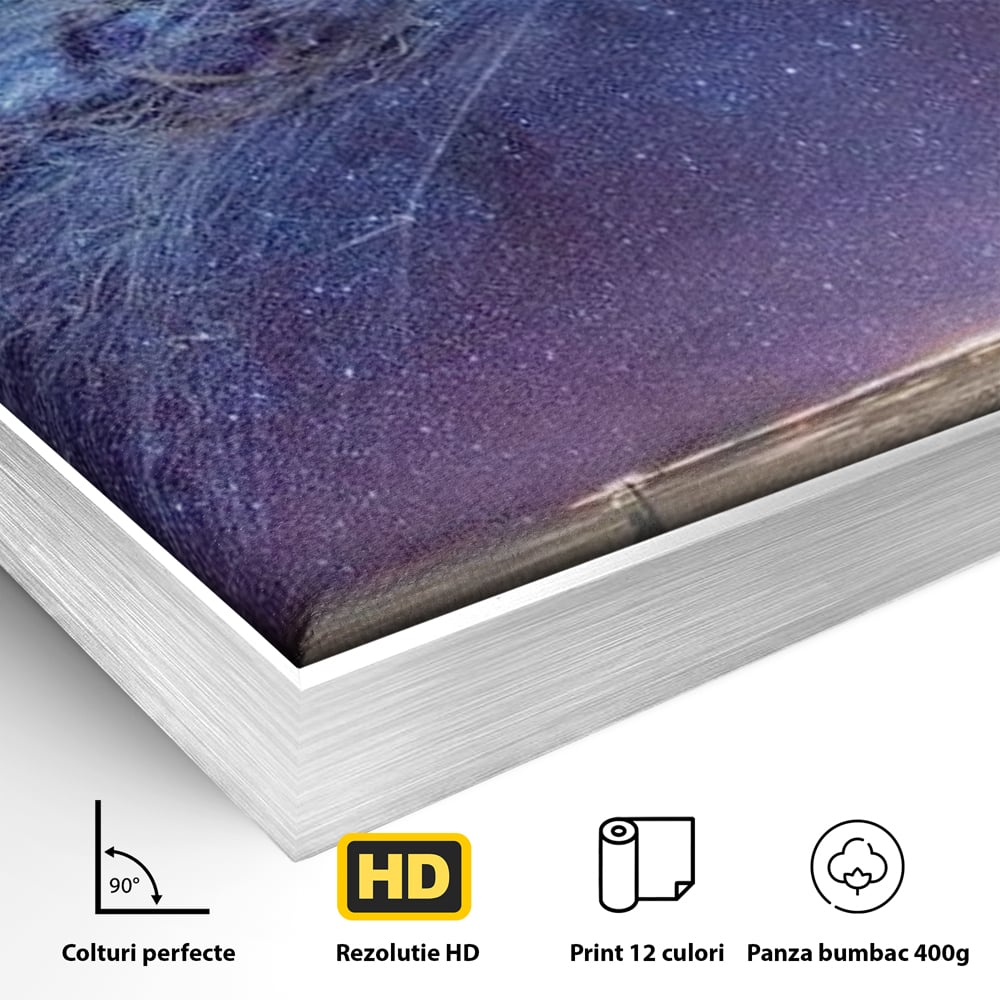 Tablou Canvas Premium, LuxCanva® M1422, Meduza Cosmica, Stele, Galaxie, Univers, Meduza, Copii, Spirit, Stralucitor, Plutire, Magie, Birou, Living, Camera Copil