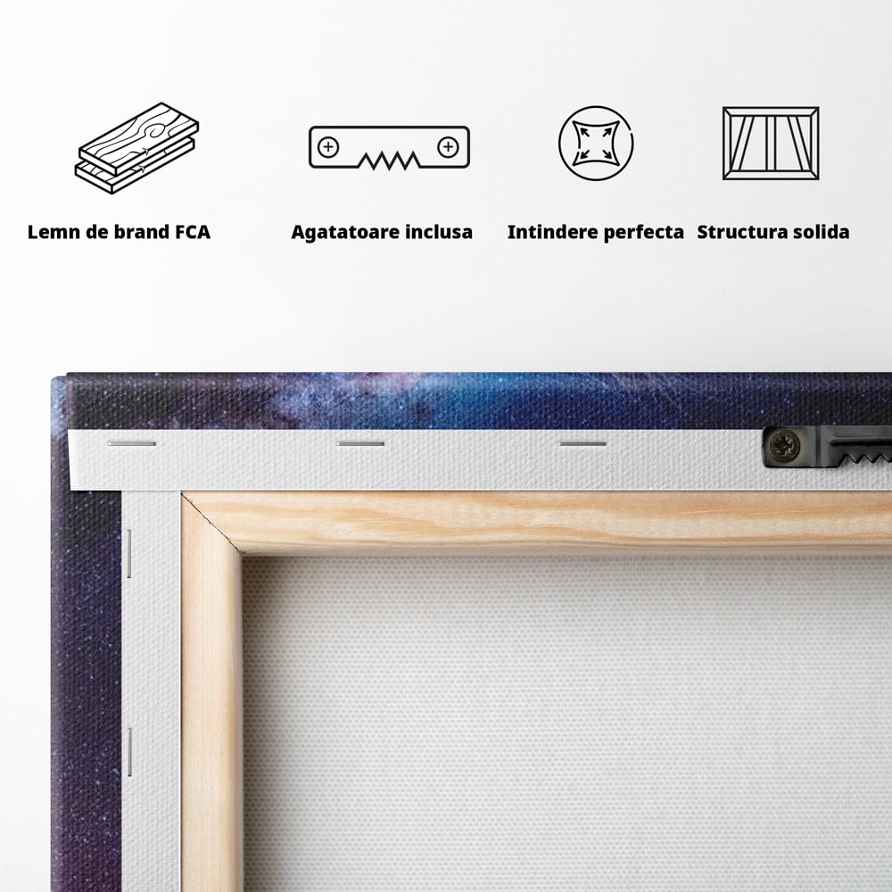 Tablou Canvas Premium, LuxCanva® M1422, Meduza Cosmica, Stele, Galaxie, Univers, Meduza, Copii, Spirit, Stralucitor, Plutire, Magie, Birou, Living, Camera Copil