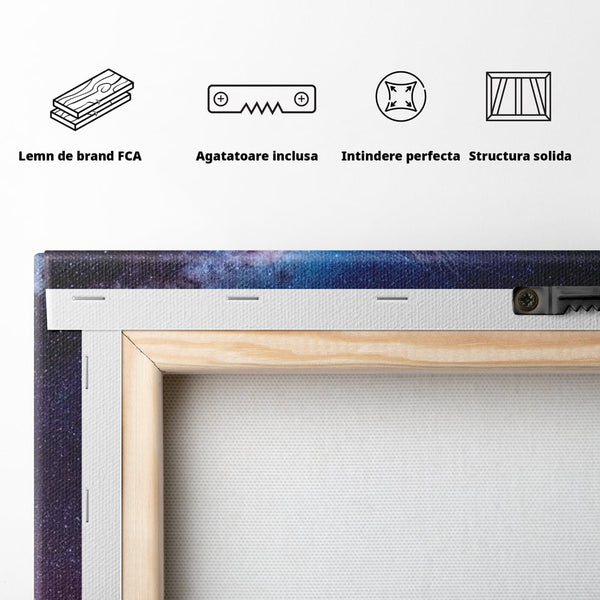 Tablou Canvas Premium, LuxCanva® M1422, Meduza Cosmica, Stele, Galaxie, Univers, Meduza, Copii, Spirit, Stralucitor, Plutire, Magie, Birou, Living, Camera Copil