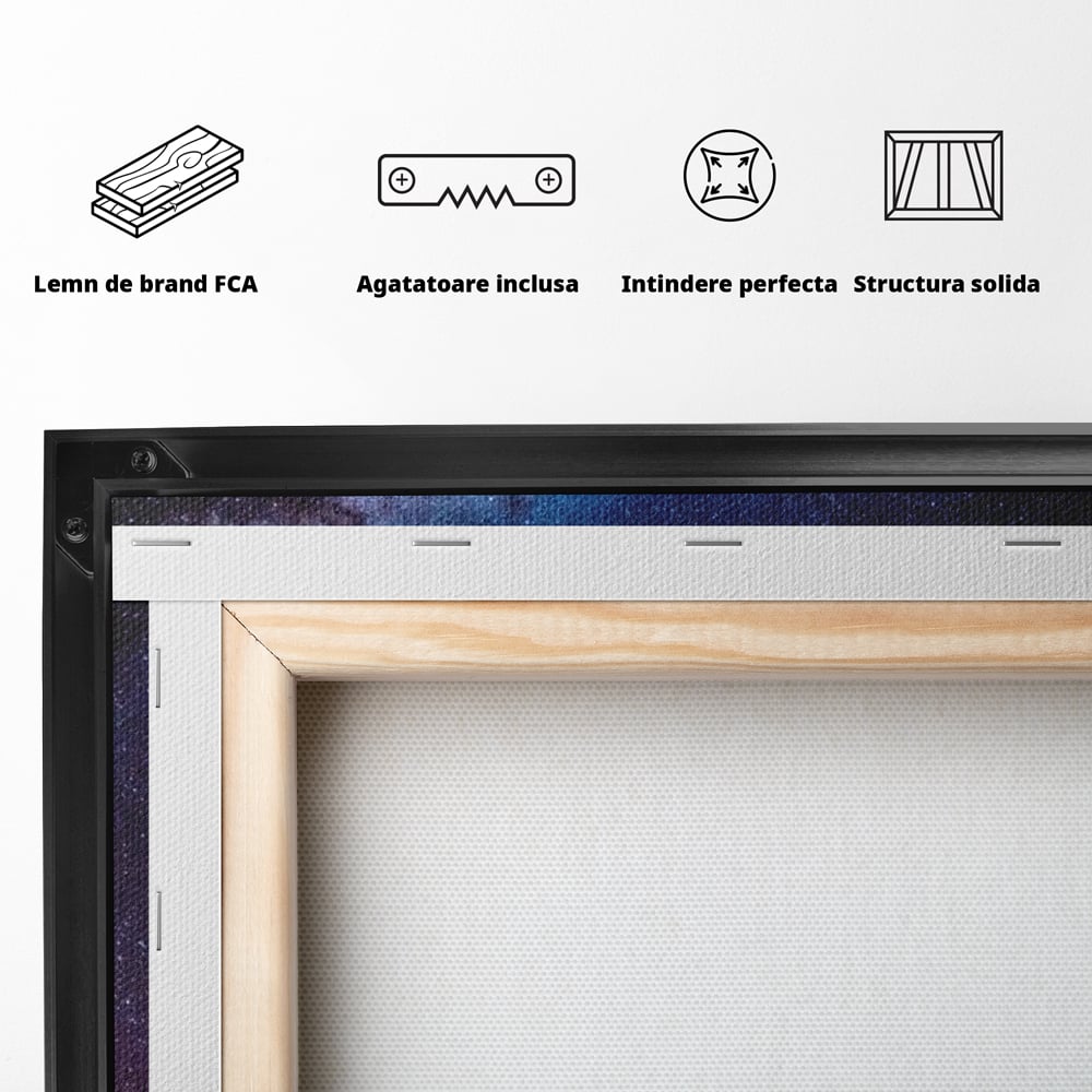 Tablou Canvas Premium, LuxCanva® M1422, Meduza Cosmica, Stele, Galaxie, Univers, Meduza, Copii, Spirit, Stralucitor, Plutire, Magie, Birou, Living, Camera Copil