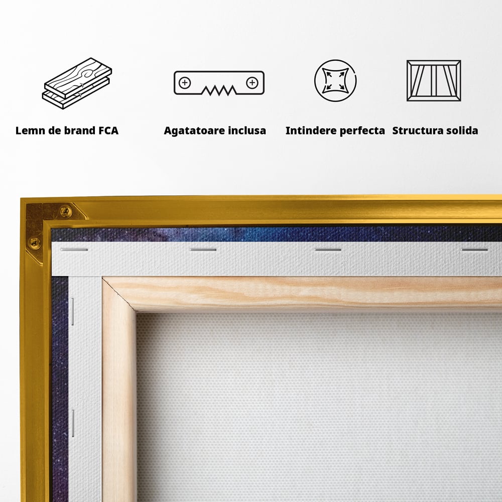 Tablou Canvas Premium, LuxCanva® M1422, Meduza Cosmica, Stele, Galaxie, Univers, Meduza, Copii, Spirit, Stralucitor, Plutire, Magie, Birou, Living, Camera Copil