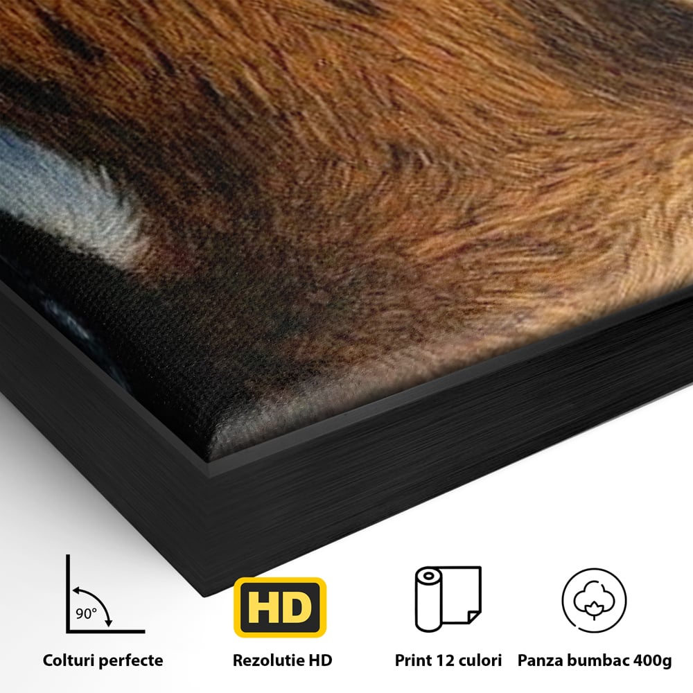 Leinwand Wandkunst Canvas Premium, LuxCanva® M1431, Verborgener Geist, Blick, Augen, Feuer, Geheimnis, Kraft, Instinkt, Bestie, Tiger, Tigerin, Feline, Dschungel, Exotisch, Büro, Wohnen, Kinderzimmer