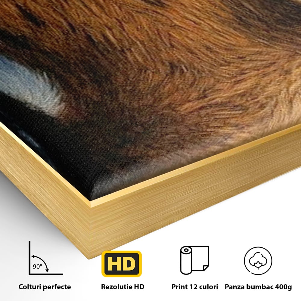 Leinwand Wandkunst Canvas Premium, LuxCanva® M1431, Verborgener Geist, Blick, Augen, Feuer, Geheimnis, Kraft, Instinkt, Bestie, Tiger, Tigerin, Feline, Dschungel, Exotisch, Büro, Wohnen, Kinderzimmer