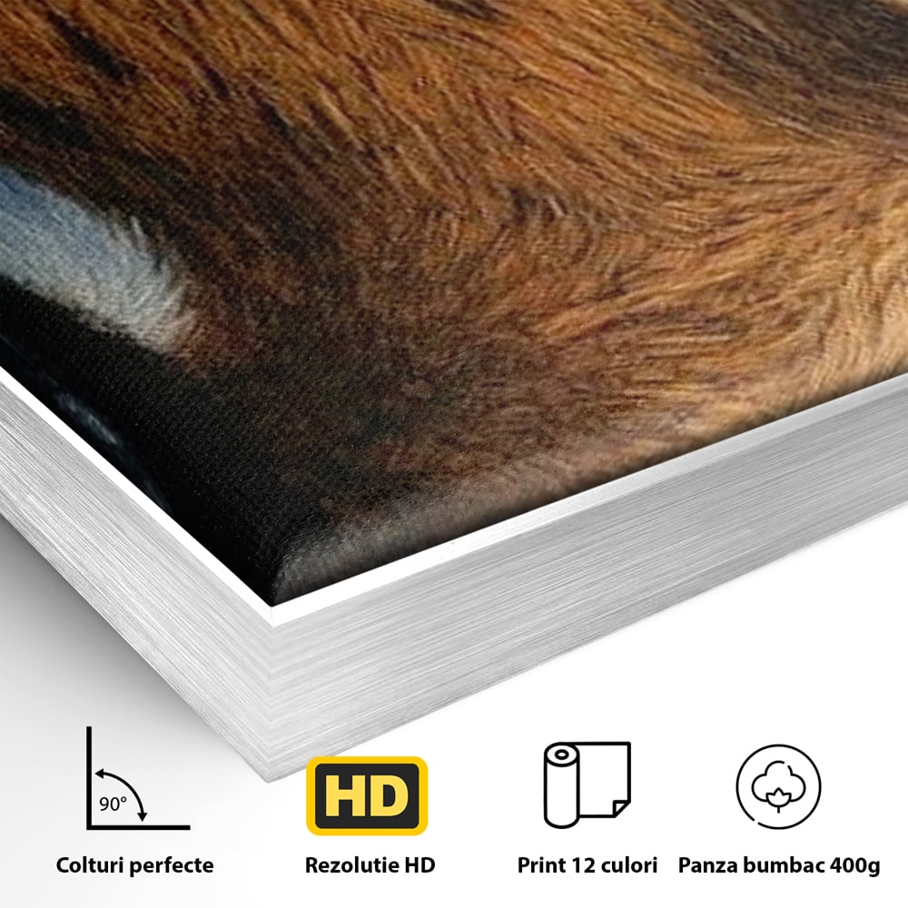 Leinwand Wandkunst Canvas Premium, LuxCanva® M1431, Verborgener Geist, Blick, Augen, Feuer, Geheimnis, Kraft, Instinkt, Bestie, Tiger, Tigerin, Feline, Dschungel, Exotisch, Büro, Wohnen, Kinderzimmer