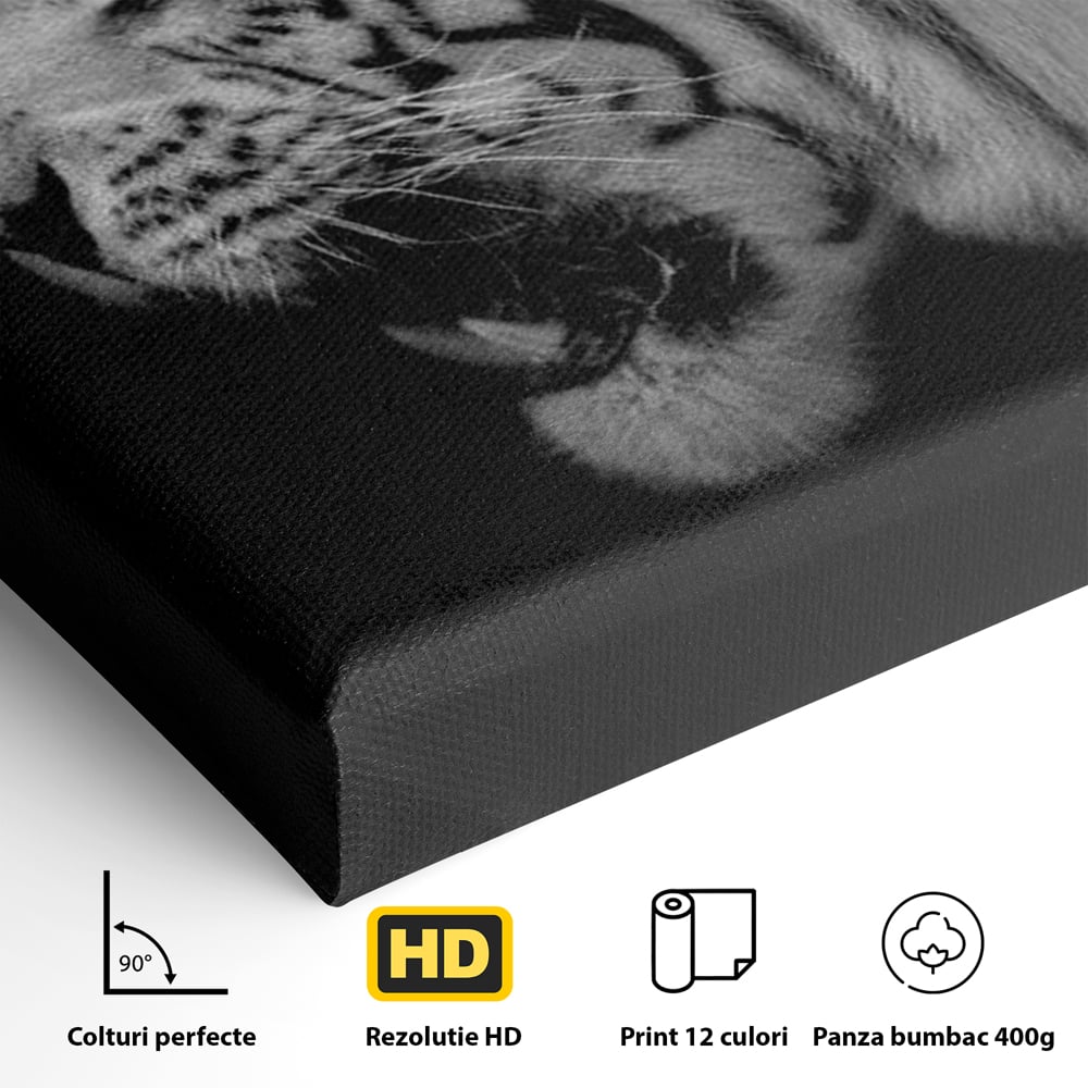 Leinwandbilder Premium, LuxCanva® M1432, Der Schattenjäger, Schwarz und Weiß, Tiger, Feline, Bestie, Tier, Exotisch, Wild, Profil, Streifen, Reißzähne, Büro, Wohnen, Kinderzimmer