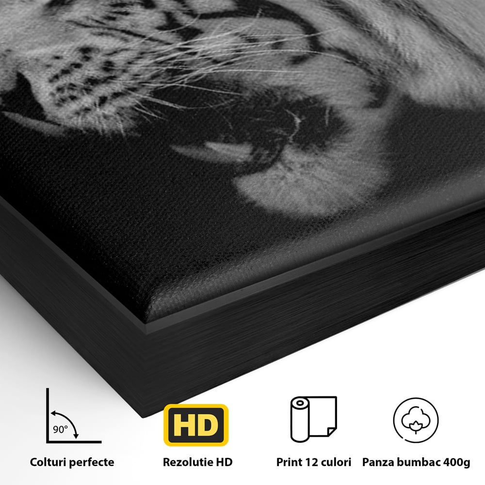 Leinwandbilder Premium, LuxCanva® M1432, Der Schattenjäger, Schwarz und Weiß, Tiger, Feline, Bestie, Tier, Exotisch, Wild, Profil, Streifen, Reißzähne, Büro, Wohnen, Kinderzimmer