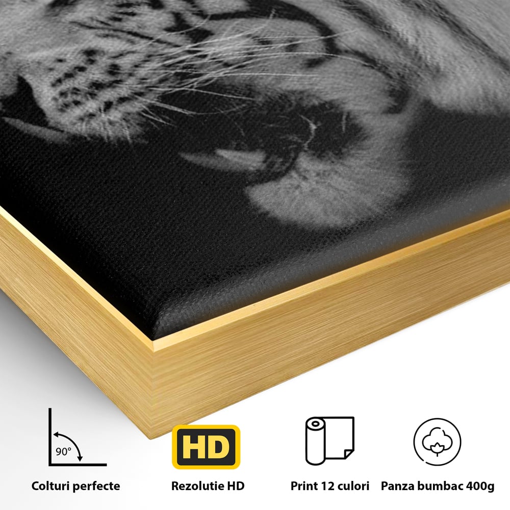 Leinwandbilder Premium, LuxCanva® M1432, Der Schattenjäger, Schwarz und Weiß, Tiger, Feline, Bestie, Tier, Exotisch, Wild, Profil, Streifen, Reißzähne, Büro, Wohnen, Kinderzimmer